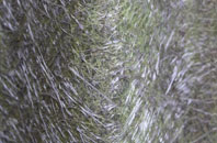 Slateford fibreglass roof work